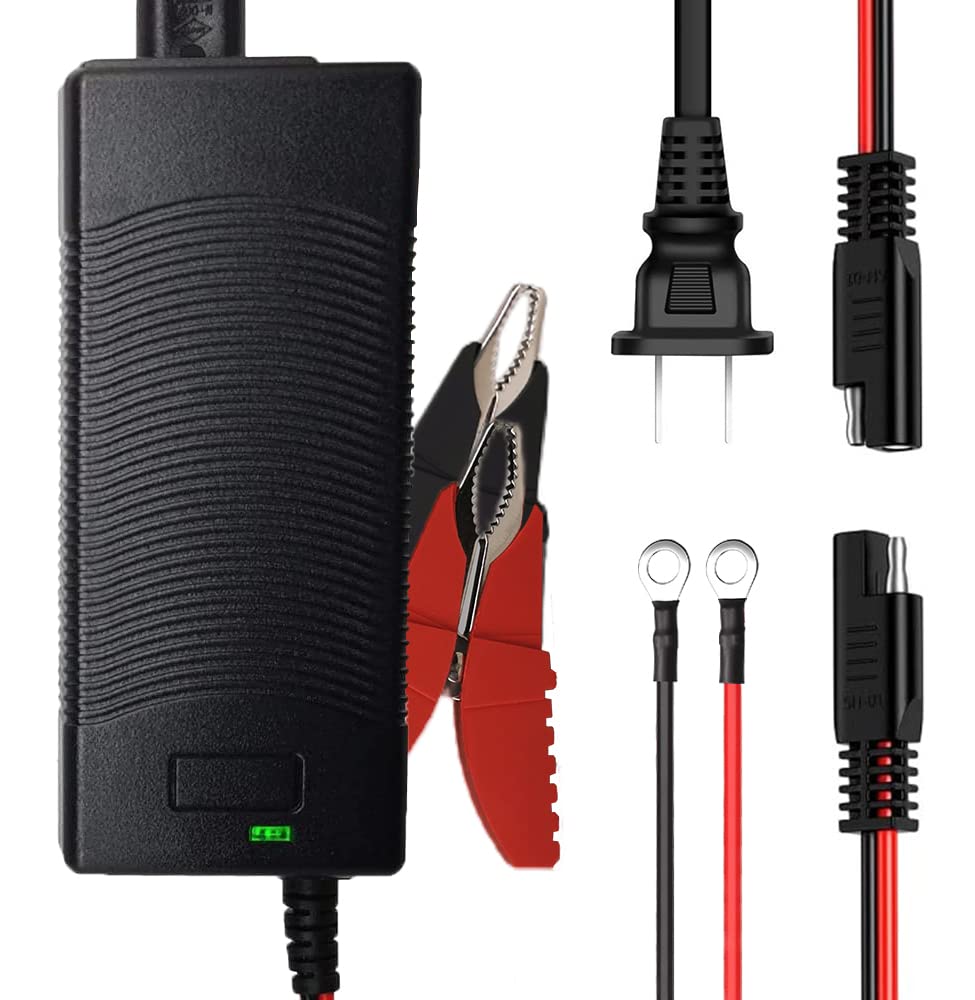 THEPRO front view of charger showing ports and status LEDs for easy monitoring