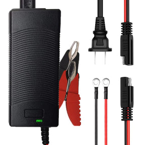 THEPRO front view of charger showing ports and status LEDs for easy monitoring