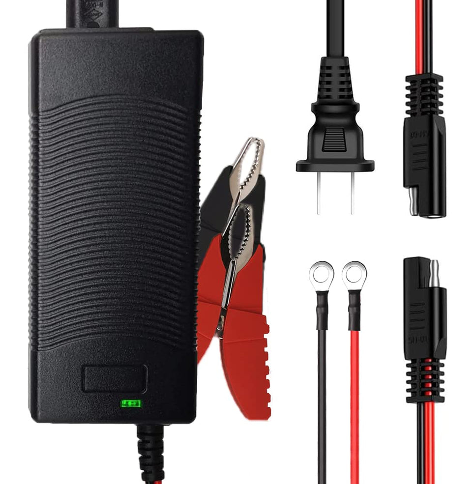 THEPRO front view of charger showing ports and status LEDs for easy monitoring