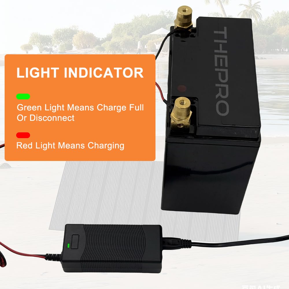 THEPRO charger in use on a motorcycle demonstrating safe LiFePO4 charging