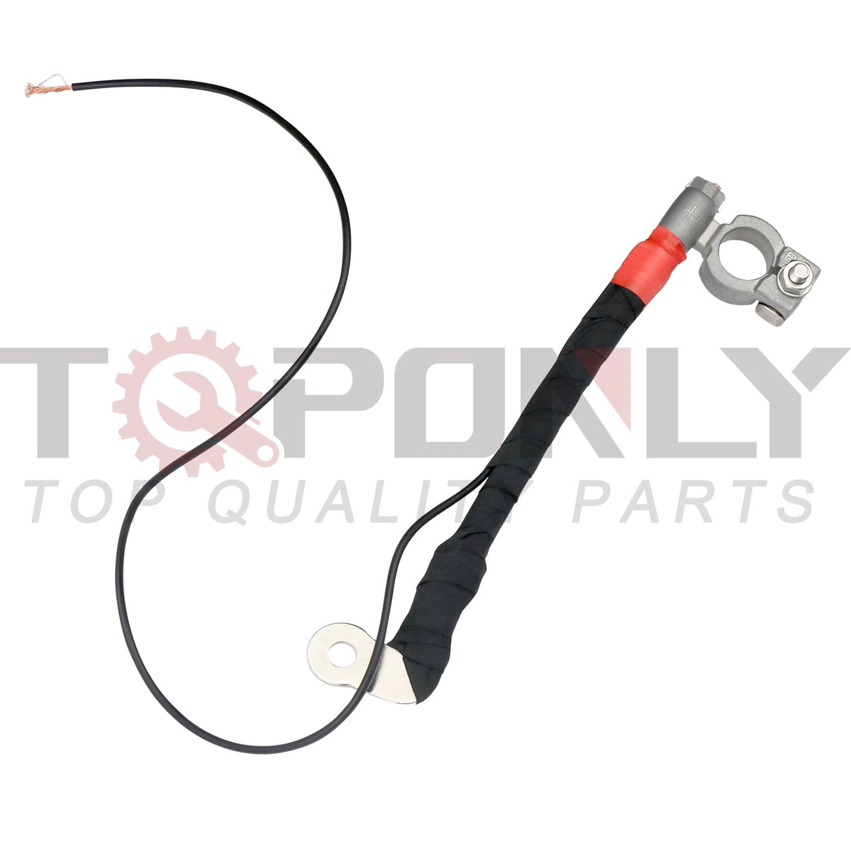 TQPONLY battery cable shown in Ford Focus engine bay, verifies vehicle compatibility