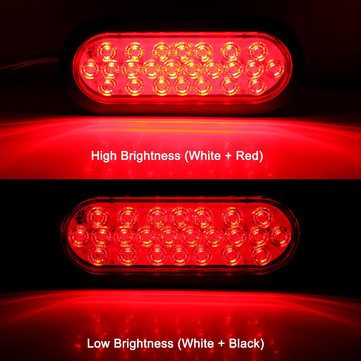 Traberm close-up of 24 SMD LEDs and lens texture for long-lasting visibility