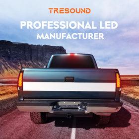 Tresound taillight next to ruler showing size and fitment confirmation benefit