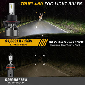 TRUELAND close-up of LED emitters highlighting bright white output
