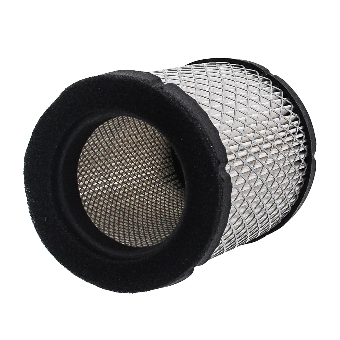 TSHOU dual fuel filters top view illustrating new filtration elements for cleaner fuel