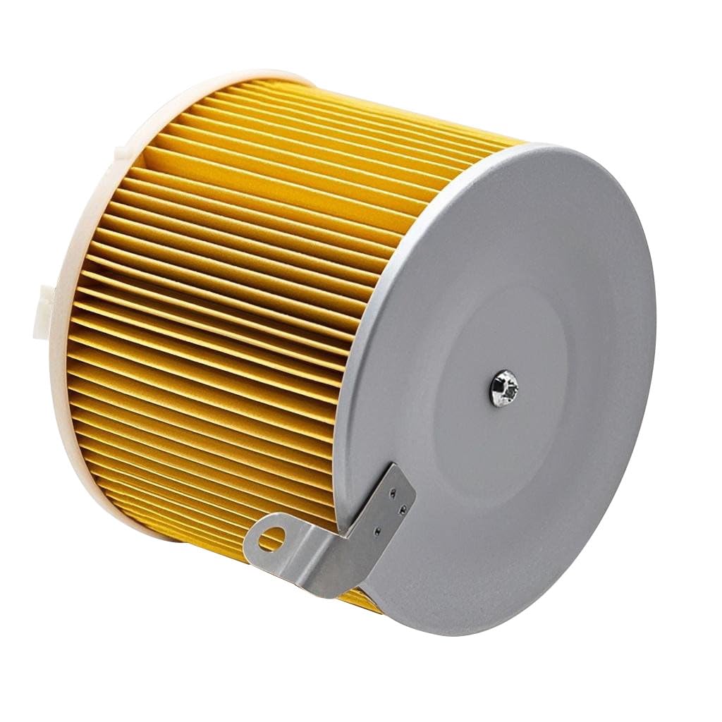 TSHOU fuel filter pair displayed to prevent contaminants from reaching the engine