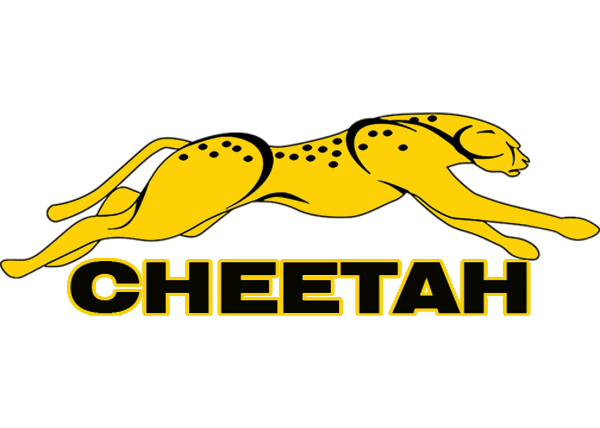 TSI Cheetah CH-5 next to a truck tire illustrating compact, portable scale