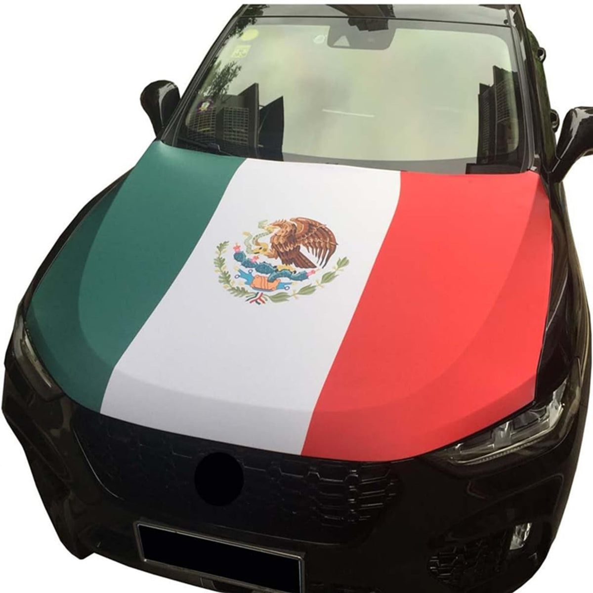 TSY TOOL front view of Mexico hood cover showing bold flag design and protection