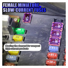 Tuxihapp color-coded array of 15A–40A fuses for fast identification and correct replacements