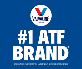 Six 1‑quart Valvoline DEXRON‑VI bottles together for service convenience