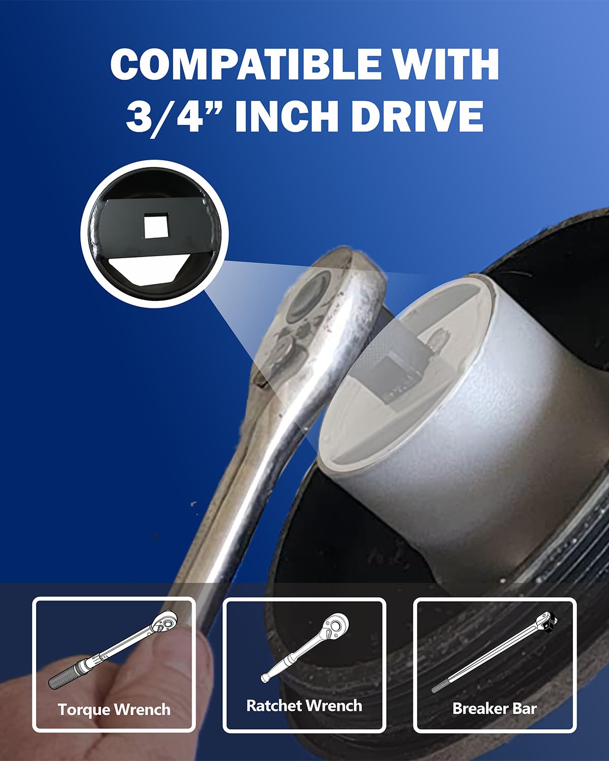 VEHIRETL sockets next to ruler illustrating scale and correct size identification