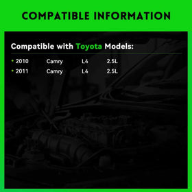 WAGSON alternator internal stator closeup showing quality windings for durability