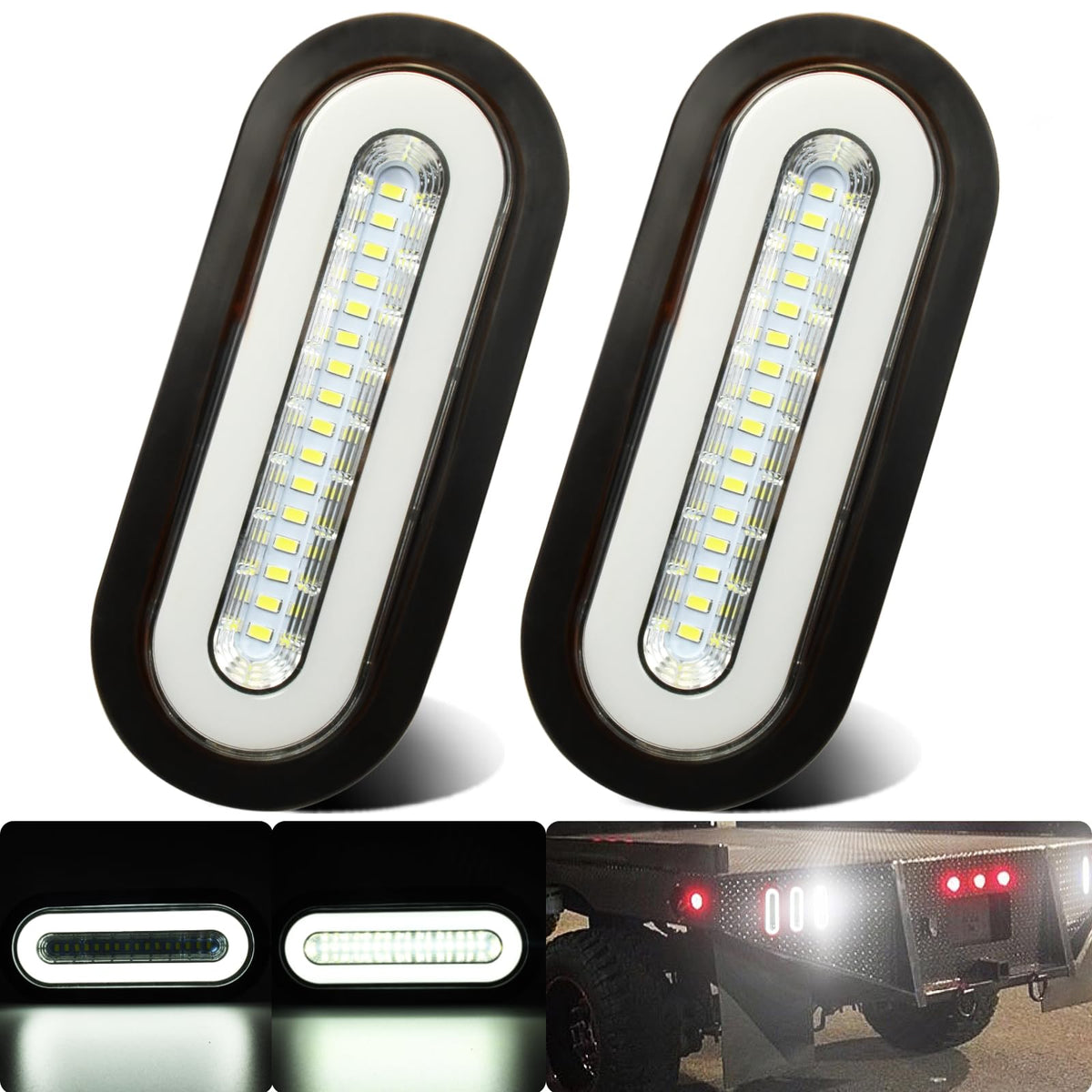 WahMOTOTin front view of oval LED assembly showing bright output