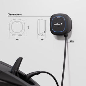 Wallbox Pulsar Plus connector close-up with J1772 plug for universal compatibility
