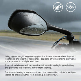 waltyotur smoke turn signal lit on mirror demonstrating clear indication