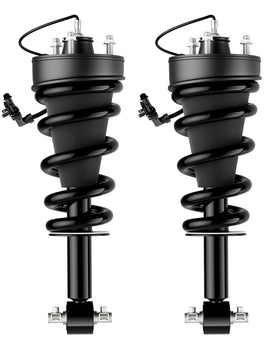 WANKECAR front strut assembly front view showing direct-fit and restored ride control