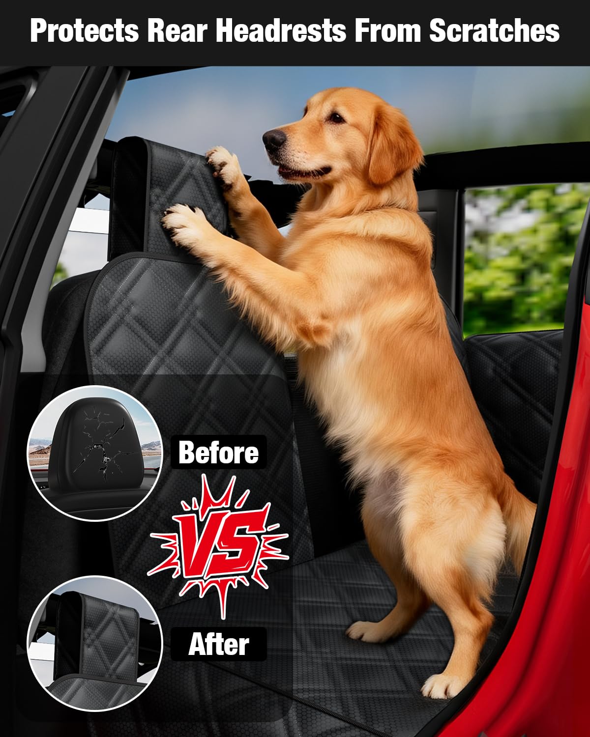 Wexyldra mesh window showing calm dog, increases airflow and visibility
