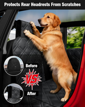Wexyldra mesh window showing calm dog, increases airflow and visibility