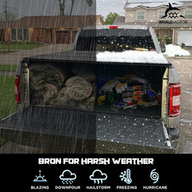 WHALEMOTOR installed side profile showing aerodynamic low-profile benefit