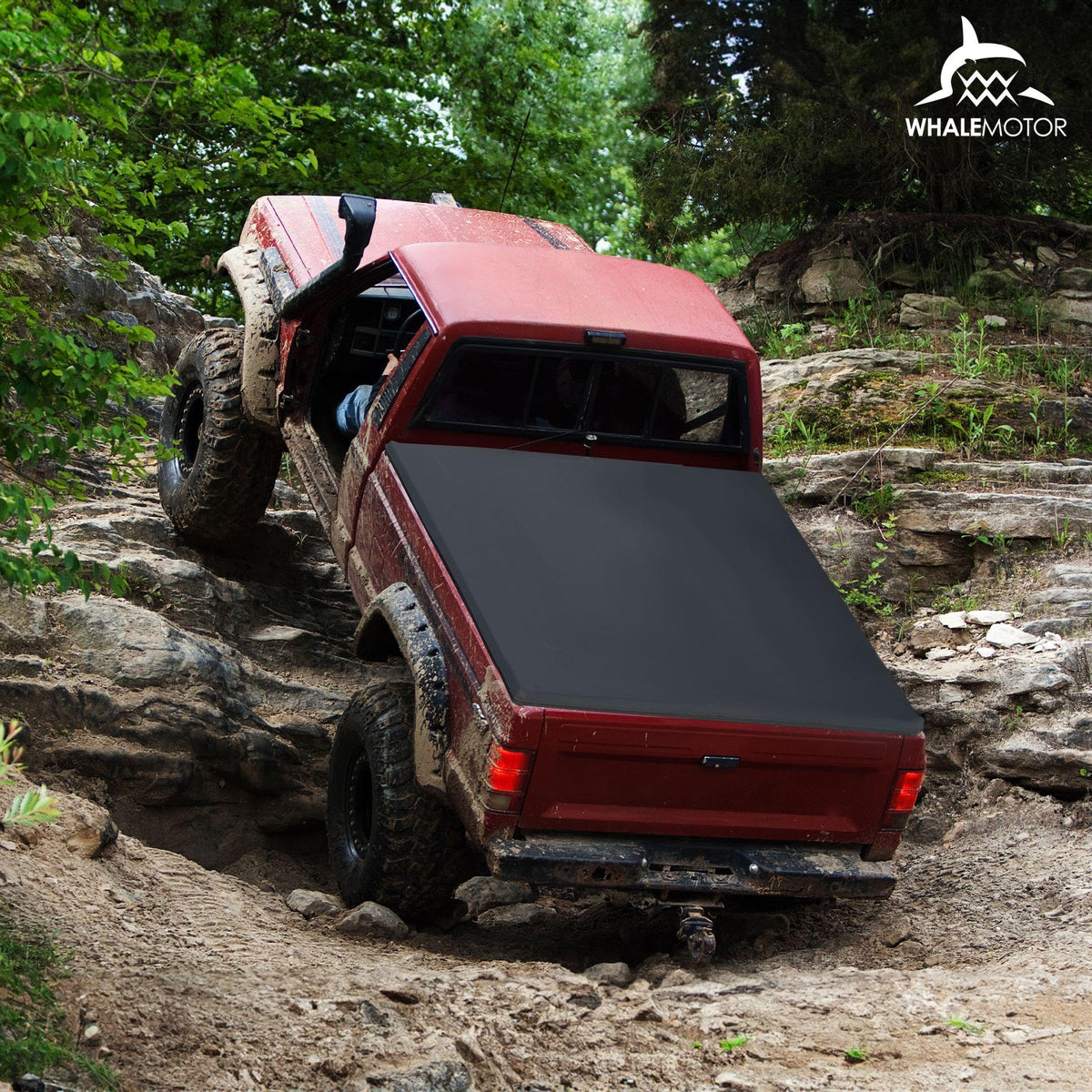 WHALEMOTOR scale shot with tailgate open showing cover compatibility and bed clearance