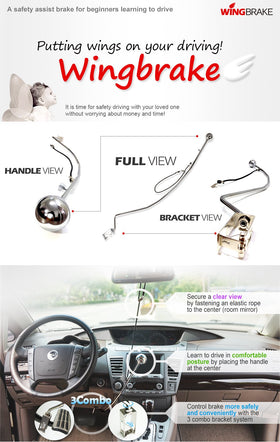 Wingbrake removable student-driver sticker visible for clear lesson identification