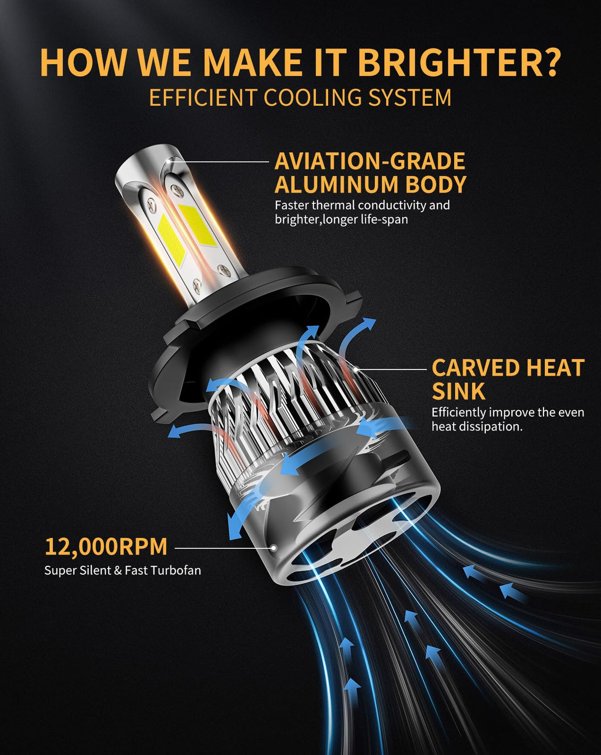 WISONDAP size comparison next to halogen bulb illustrating compact design