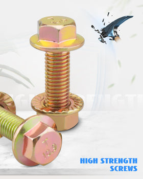 Wujexuhe kit arranged displaying four gaskets and ten bolts for convenience