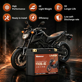 Wuldnmar connected to a 14.6V lithium charger showing fast efficient charging