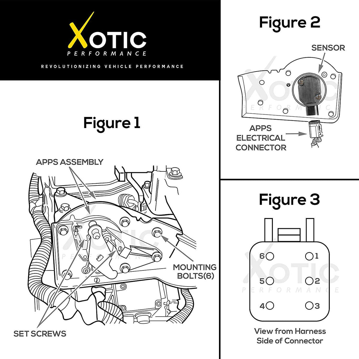 Xotic Performance TPS size comparison next to ruler for accurate scale and fit guidance