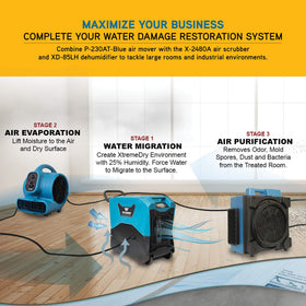 XPOWER P-230AT blowing air across a damp carpet to accelerate surface drying
