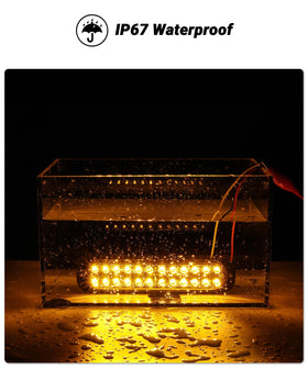 XtraGlow light shedding amber beam in rain to show IP67 waterproof reliability