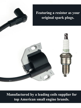 YAMAKATO kit contents with two coils and spark plugs for complete cylinder service