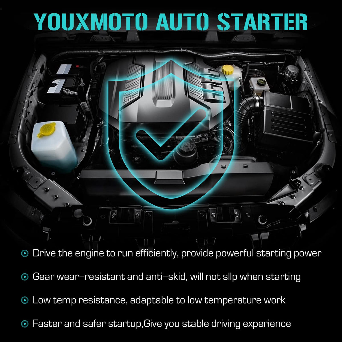 Youxmoto starter label and spec plate displaying voltage and KW details