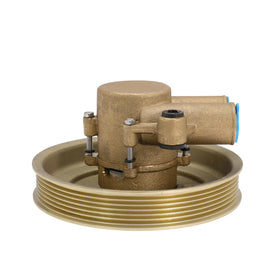 YRANZO front view of pump assembly showing mounting points and pulley for easy replacement