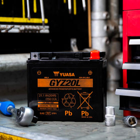 Yuasa battery top terminals focused view for easy polarity identification