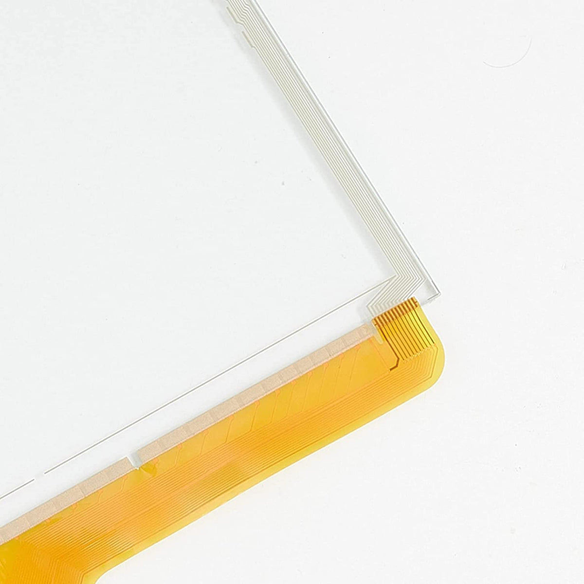 YWM size comparison beside ruler confirming correct 8-inch fitment benefit