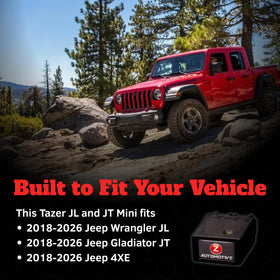 Z Automotive Tazer Mini close-up label showing model info and simple user controls