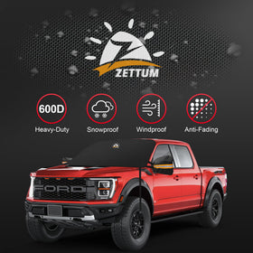 Zettum installed on Ford F150 windshield preventing snow and saving time