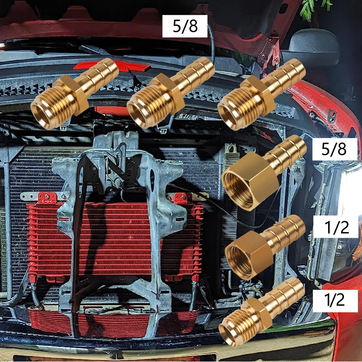 ZHSYMX cooler beside ruler for scale to confirm fitment and sizing clarity