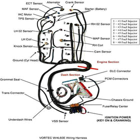 ZJTBLL harness held in hand for scale showing compact design and easy handling