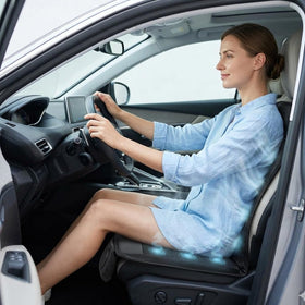 ZONETECH plug and controller detail offering easy power and adjustable cooling