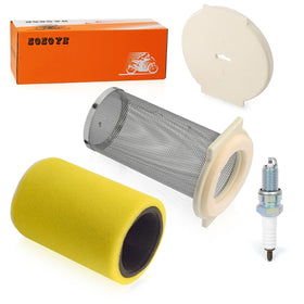 zozoye complete kit with spark plug beside a ruler showing scale and ready-to-install convenience